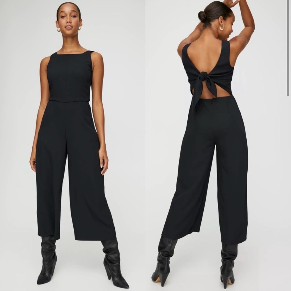 Aritzia Wilfred Jumpsuit